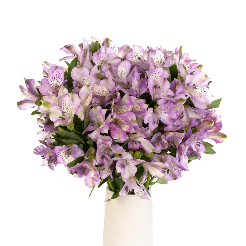 Purple Passion Alstroemeria Flowers Vase - Image