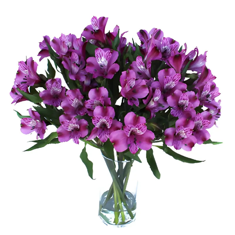 Purple Peruvian Lilies Bulk Flower Vase - Image