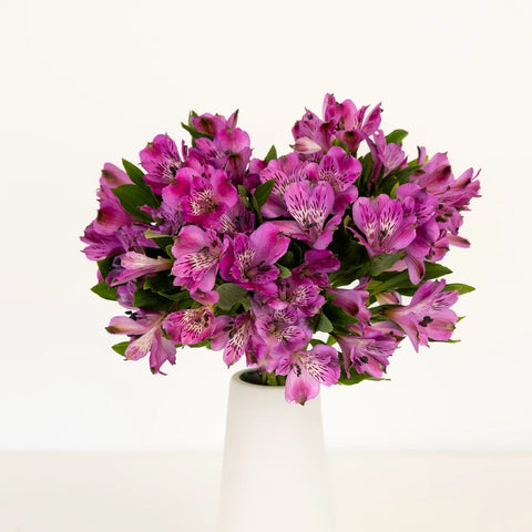 Purple Peruvian Lilies Flower Vase - Image