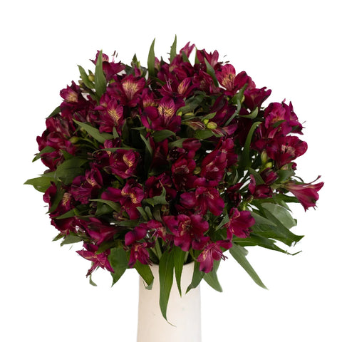 Purple Peruvian Lilies Flower Vase - Image