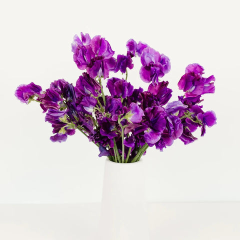 Purple Sweet Pea Flower Apron - Image