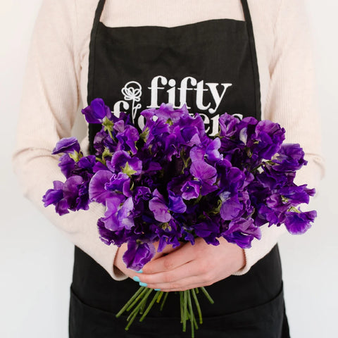 Purple Sweet Pea Flower - Image