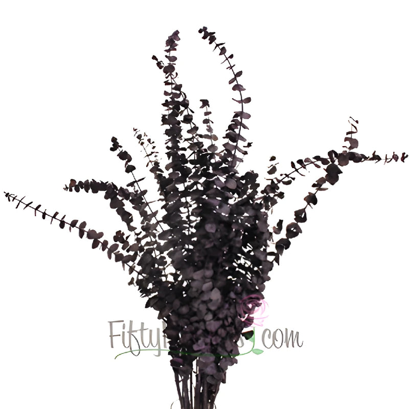 Eggplant Seeded Eucalyptus for Weddings