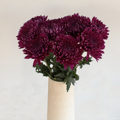 Purpleberry Cremon Flowers Vase - Image