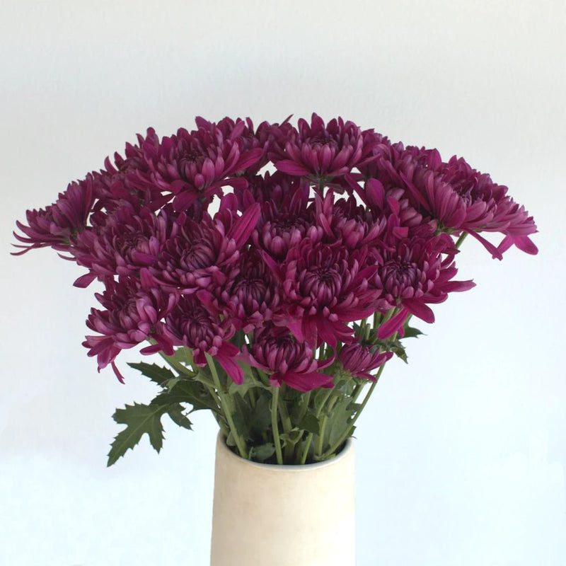 Purpleberry Dahlia Style Cushion Flower Vase - Image