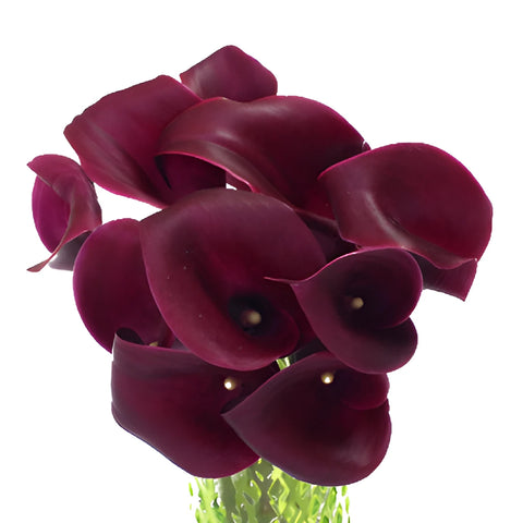 Purpleberry Mini Calla Lily Flower