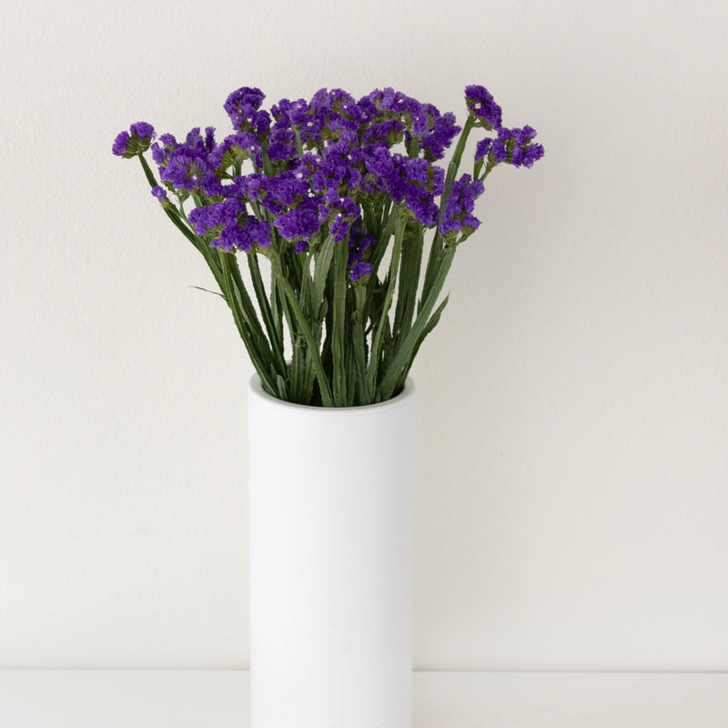 Purplish Blue Tissue Culture Statice Flower Vase - Image