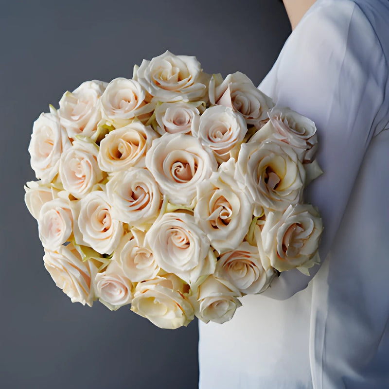 Fresh Cut Queen of Pearl Roses FlowerFix Gifts