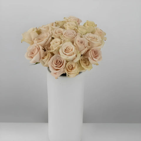Quicksand Cream Roses Vase - Image