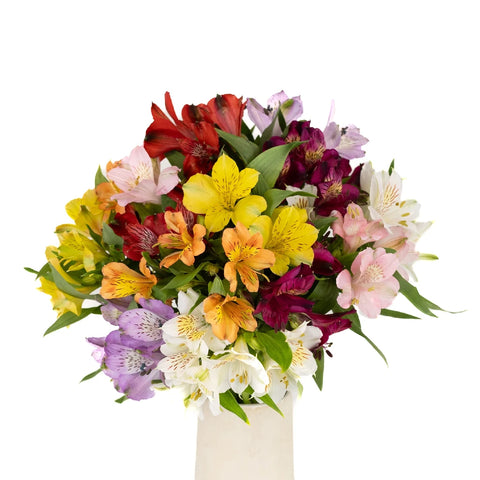 Rainbow Alstroemerias Vday Flowers Stem - Image