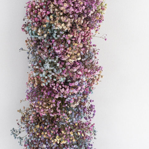 Rainbow Baby's Breath Tinted Garland Hand - Image