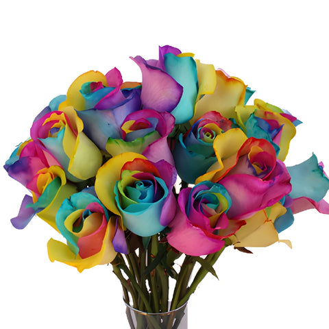Neon Tie Dye Tinted Rainbow Roses