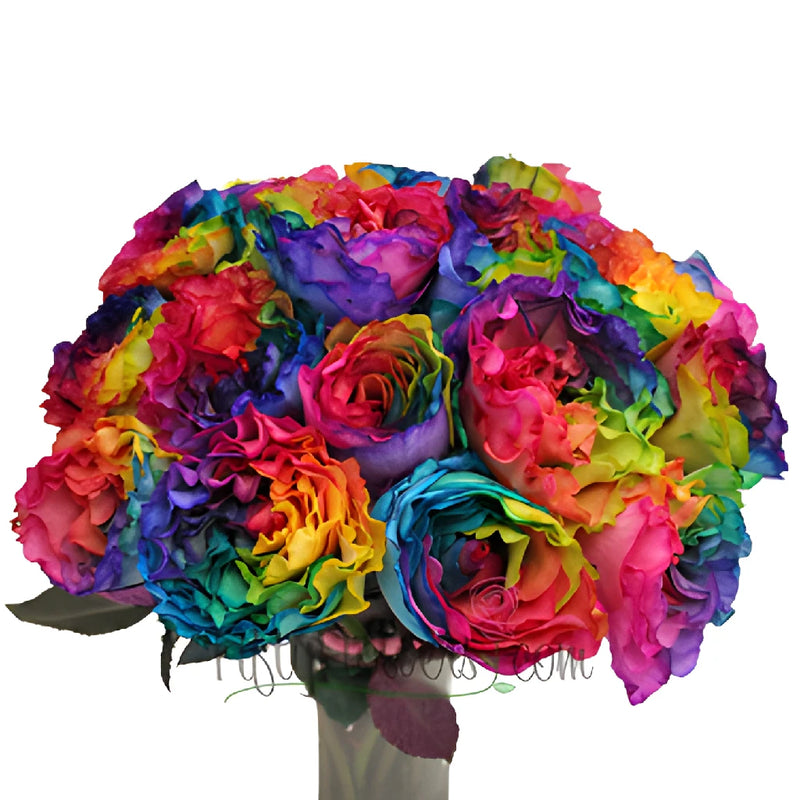 Buy Wholesale Rainbow Tie Dye Garden Rose in Bulk - FiftyFlowers