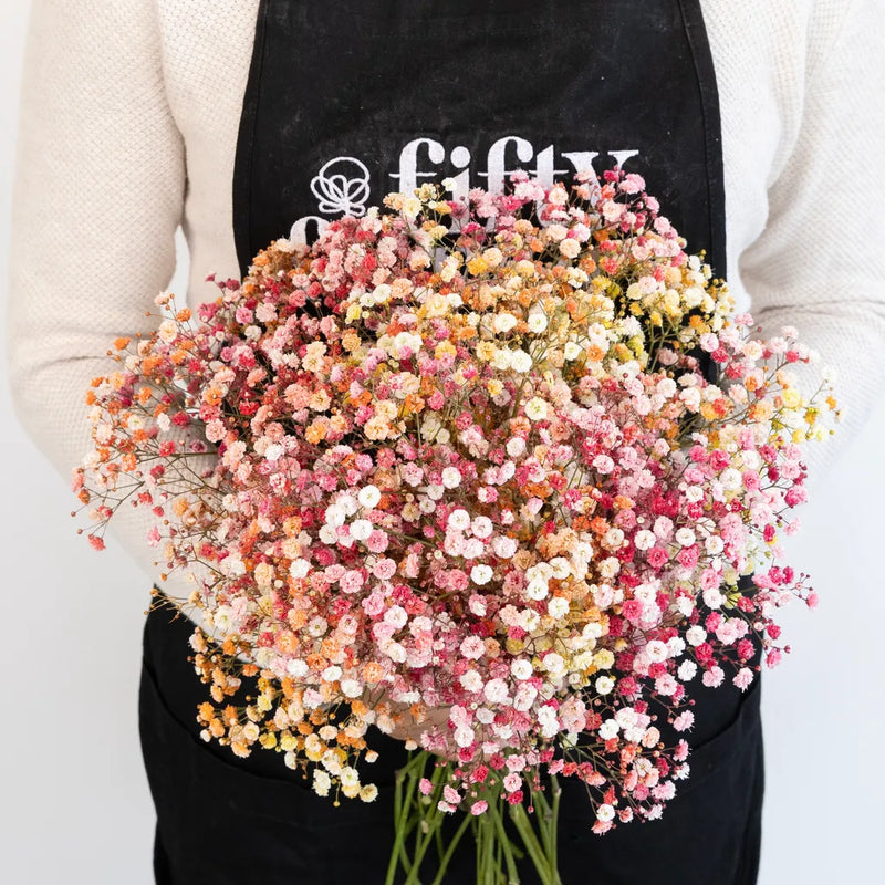 Rainbow Sunrise Airbrushed Babys Breath Flower Apron - Image