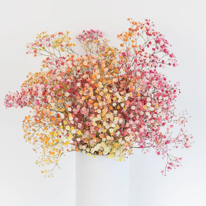 Rainbow Sunrise Airbrushed Babys Breath Flower Vase - Image