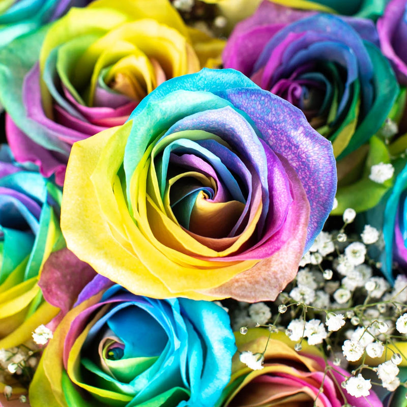 Rainbow Tinted Rose Bouquet Flower Bouquet Up Close