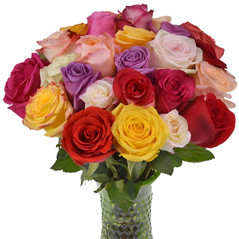 Rainbow Bunch Assorted Roses