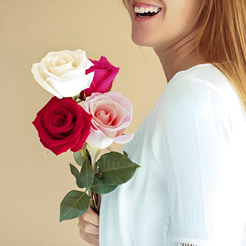 Rainbows Of Love Valentines Day Roses Apron - Image