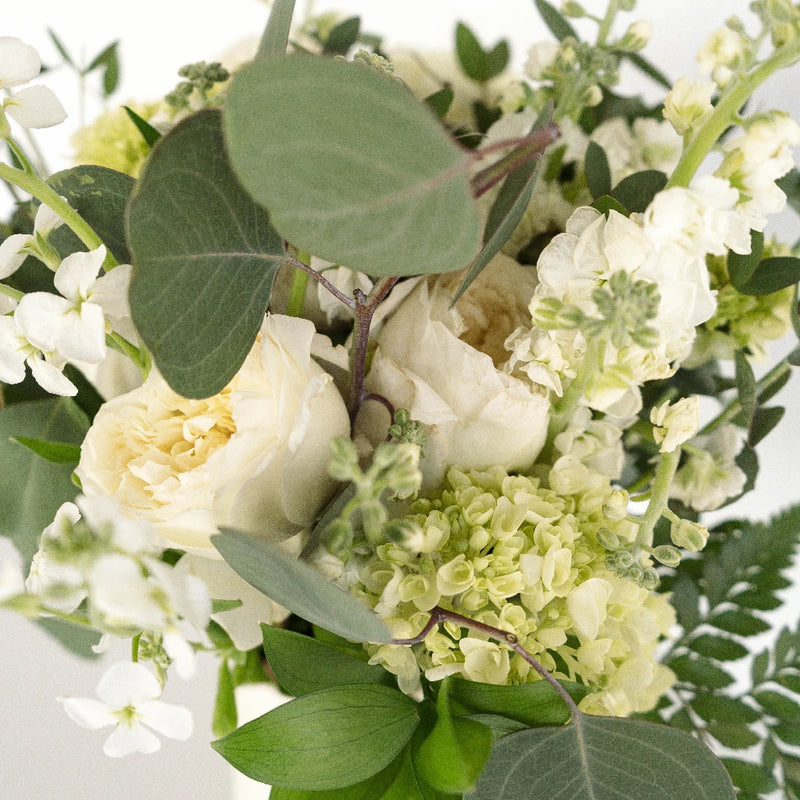 Ranunculus & Greenery Wedding Collection - Image
