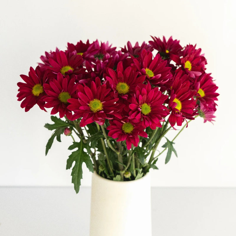 Raspberry Plum Daisy Flower Vase - Image