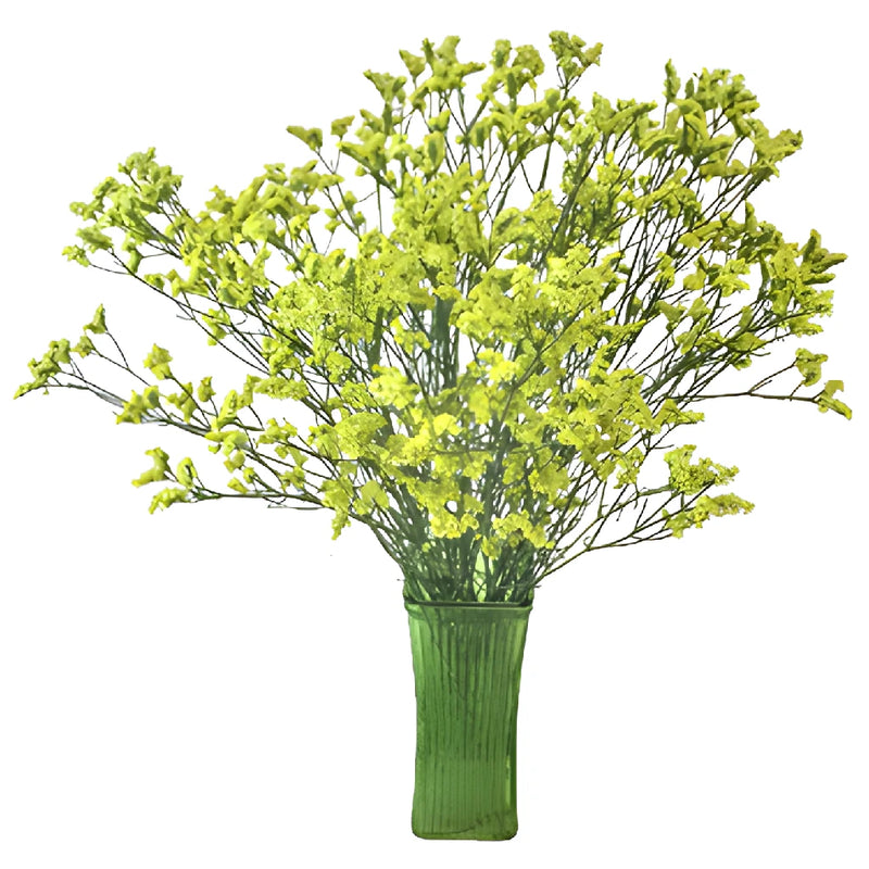 Lemon Lime Airbrushed Limonium Flowers