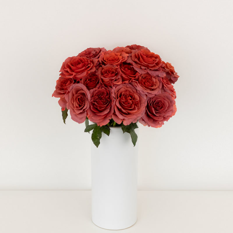 Razzmatazz Novelty Rose Vase - Image