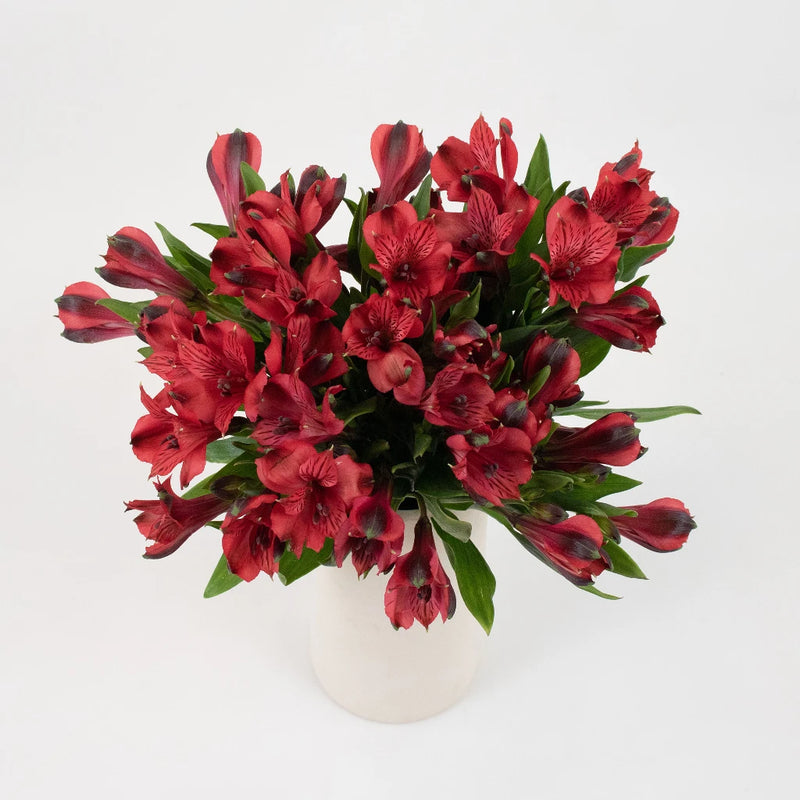 Red Alstroemeria Flower Bunch in Vase