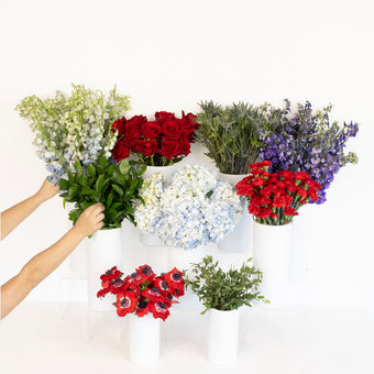 Red And Blue Wildflowers Bouquet Bar Flower Kit Close Up - Image