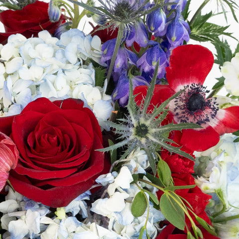 Red And Blue Wildflowers Diy Flower Kit Close Up - Image
