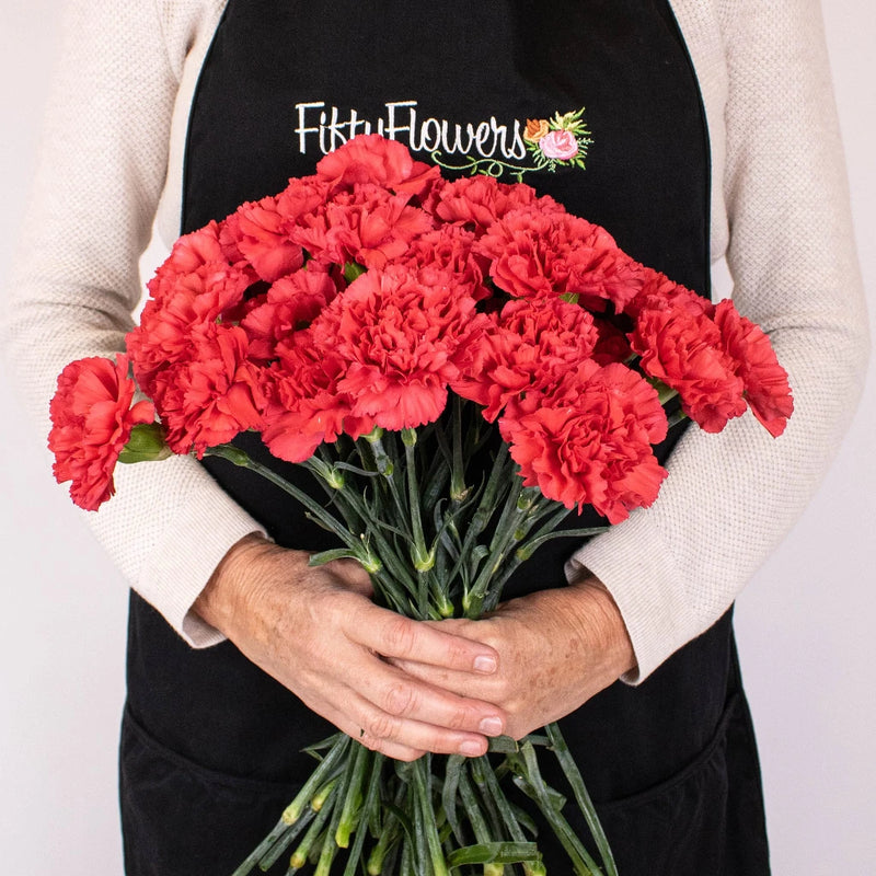 Red Carnation Flower Bunch in Hand