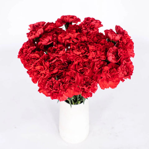Red Carnations Flower Bunch in Vase