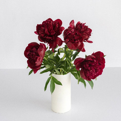 Red Charm Vase - Image