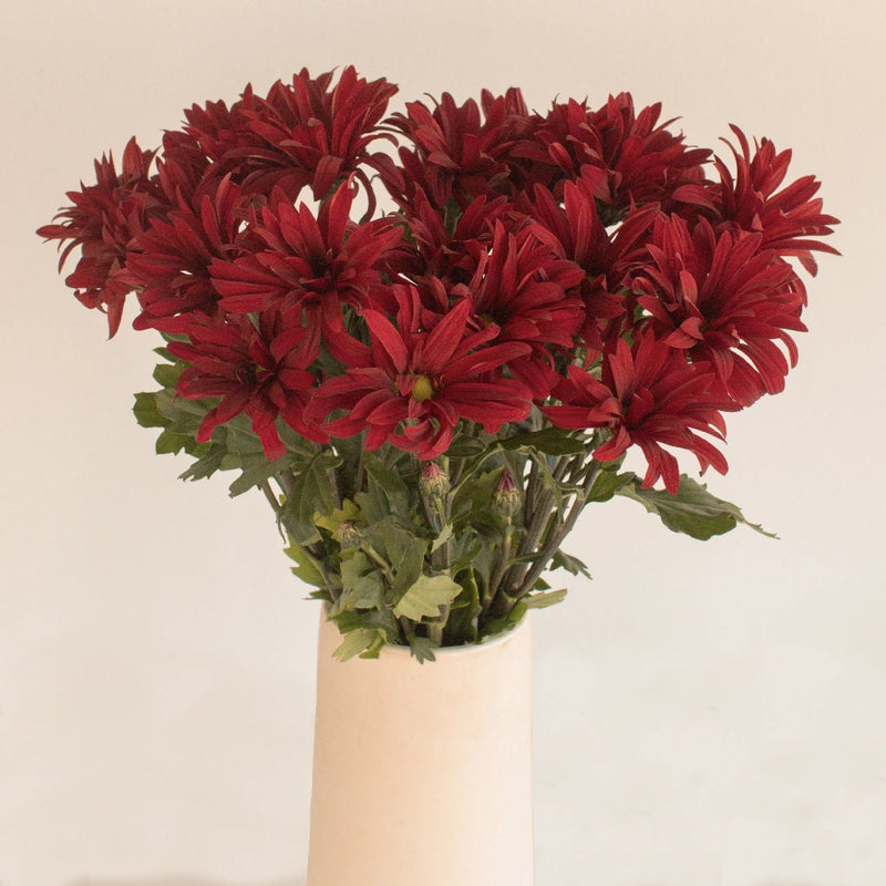Red Daisy Flower Vase - Image