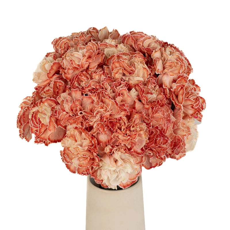 Red Dyed Wholesale Carnation Flowers Vase - Image