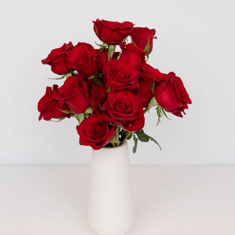 Red Ecuadorian Roses Express Delivery Apron - Image