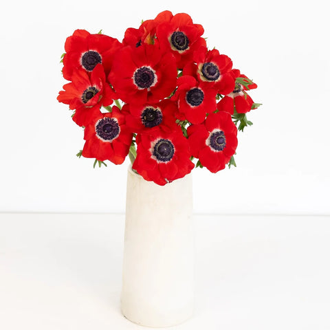 Red Fresh Cut Anemone Flower Vase - Image
