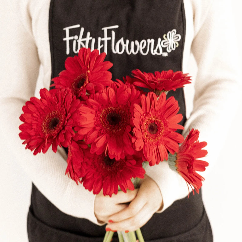 Red Gerbera Daisy Apron - Image