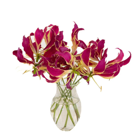 Red Gloriosa Lilies Vase - Image