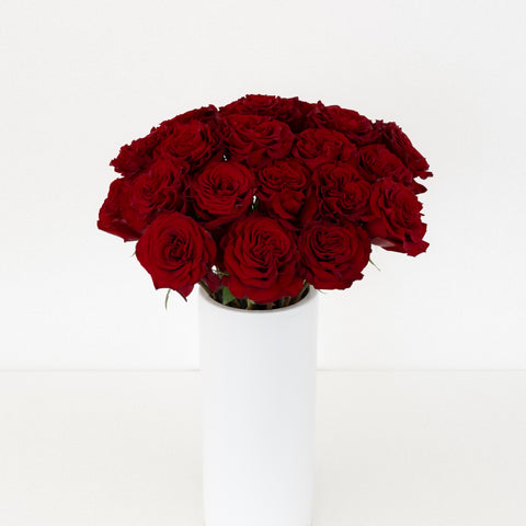 Red Heart Garden Rose Vase - Image