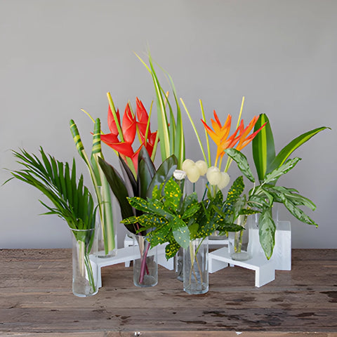 Red Heliconia Tropical DIY Flower Kit Bunch