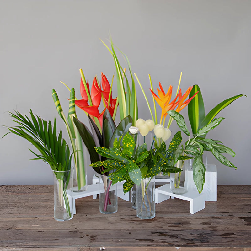 Red Heliconia Tropical DIY Flower Kit Bunch