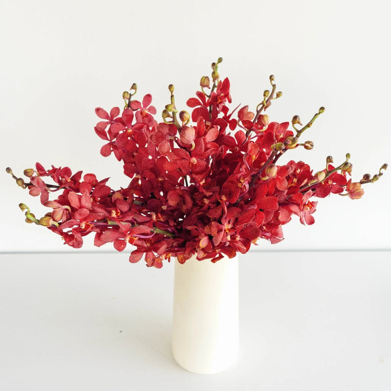 Red Lipstick Mokara Orchid Vase - Image