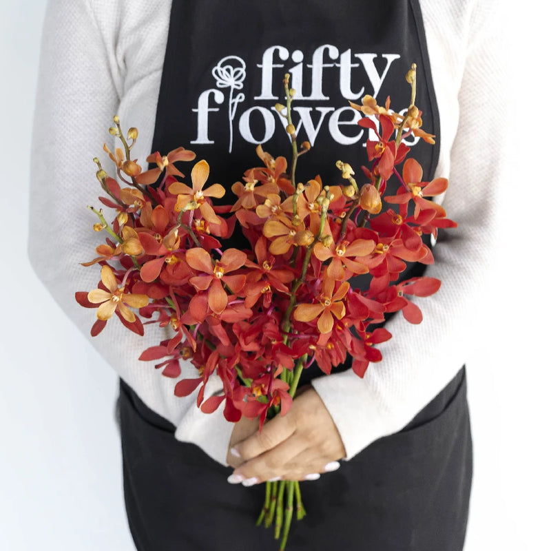 Red Mokara Orchids Flower Apron - Image