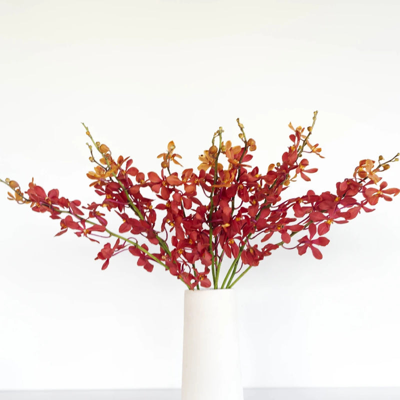 Red Mokara Orchids Flower Vase - Image