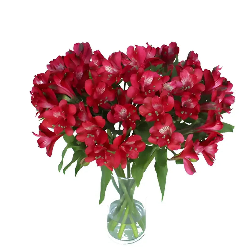 Red Peruvian Lily Flowers Vase - Image