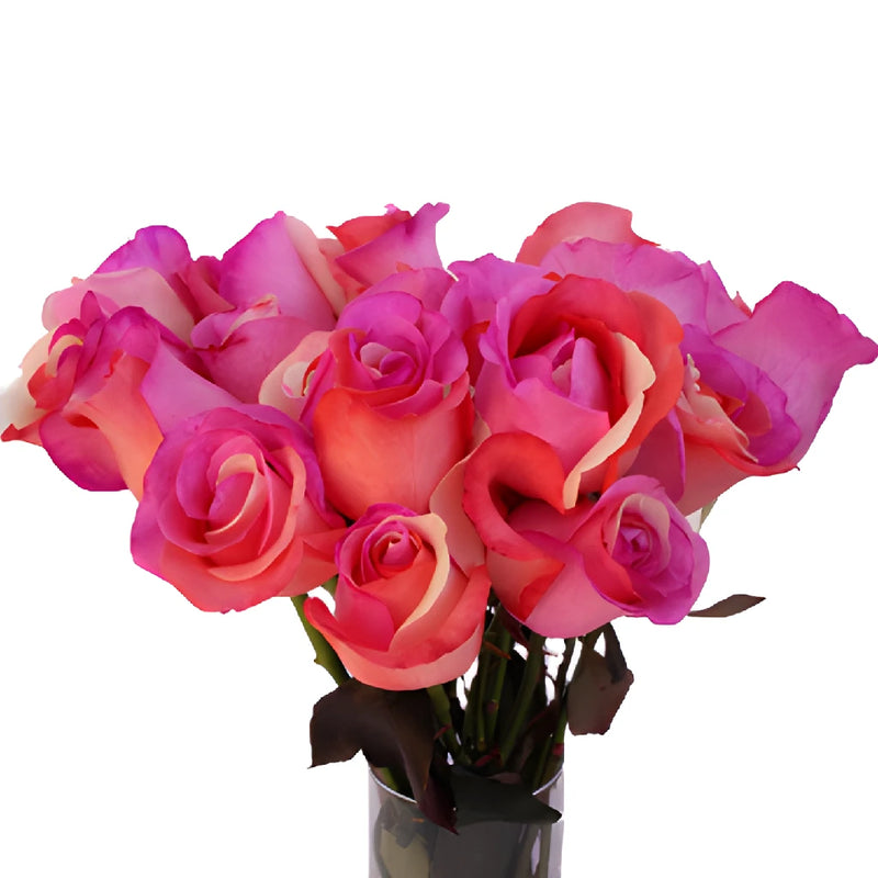 Confetti Hearts Tinted Rainbow Roses