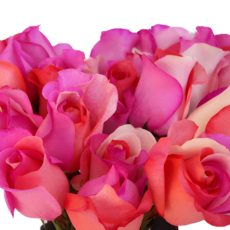 Confetti Hearts Tinted Rainbow Roses