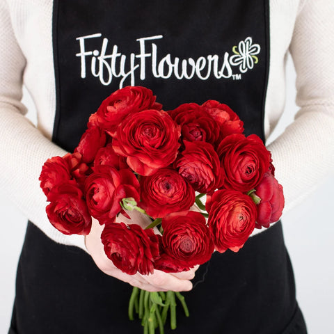 Red Ranunculus Flower Bunch in Hand