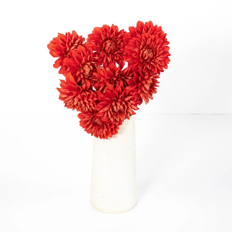Red Stone Dahlia Flower Vase - Image