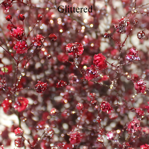 Red Airbrushed Baby's Breath Flower